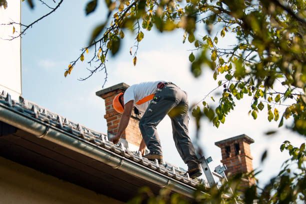 Best Residential Roofing Contractor  in Belle Fourche, SD